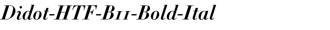 Didot-HTF-B11-Bold-Ital.otf