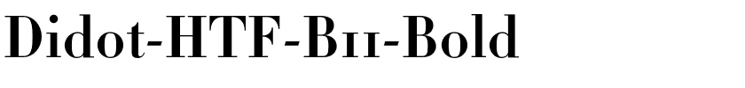 Didot-HTF-B11-Bold.otf