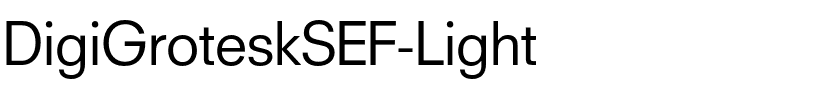 DigiGroteskSEF-Light.ttf