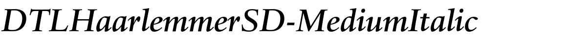 DTLHaarlemmerSD-MediumItalic.otf