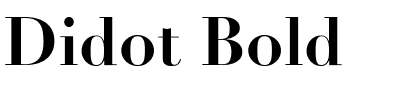 Didot Bold.ttf