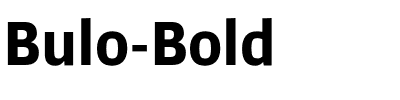 Bulo-Bold.otf